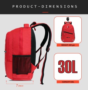 addixon 30 L Laptop Office/School/Travel/Business Backpack Water Proof - Fits Up to 17 Inch Laptop Notebook, Inside Organiser and 1 Year Warranty - Image 10